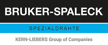 Bruker Spaleck Logo